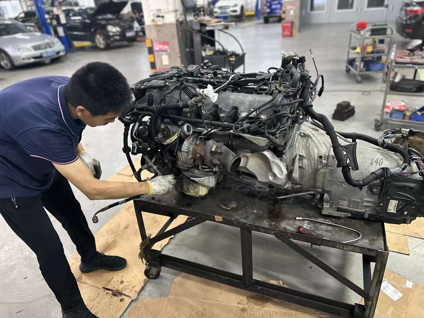 奔驰221S600 V12大心脏